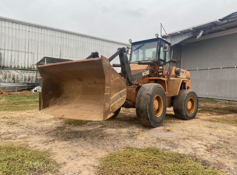 WhatsApp Image 2025-12-30 at 10.27.27 PMfess